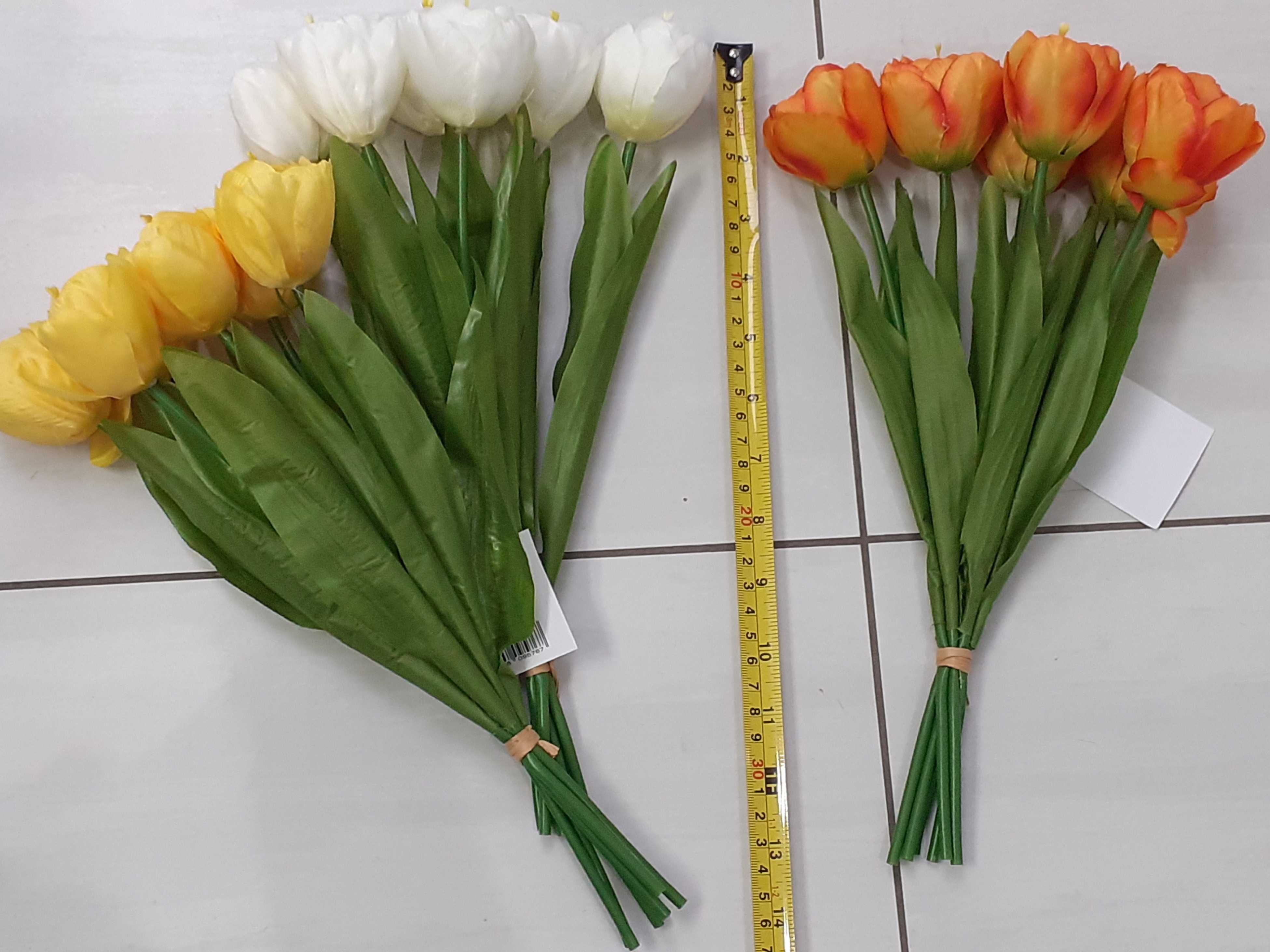 Tulipan tulipany bukiet gałązka 6szt