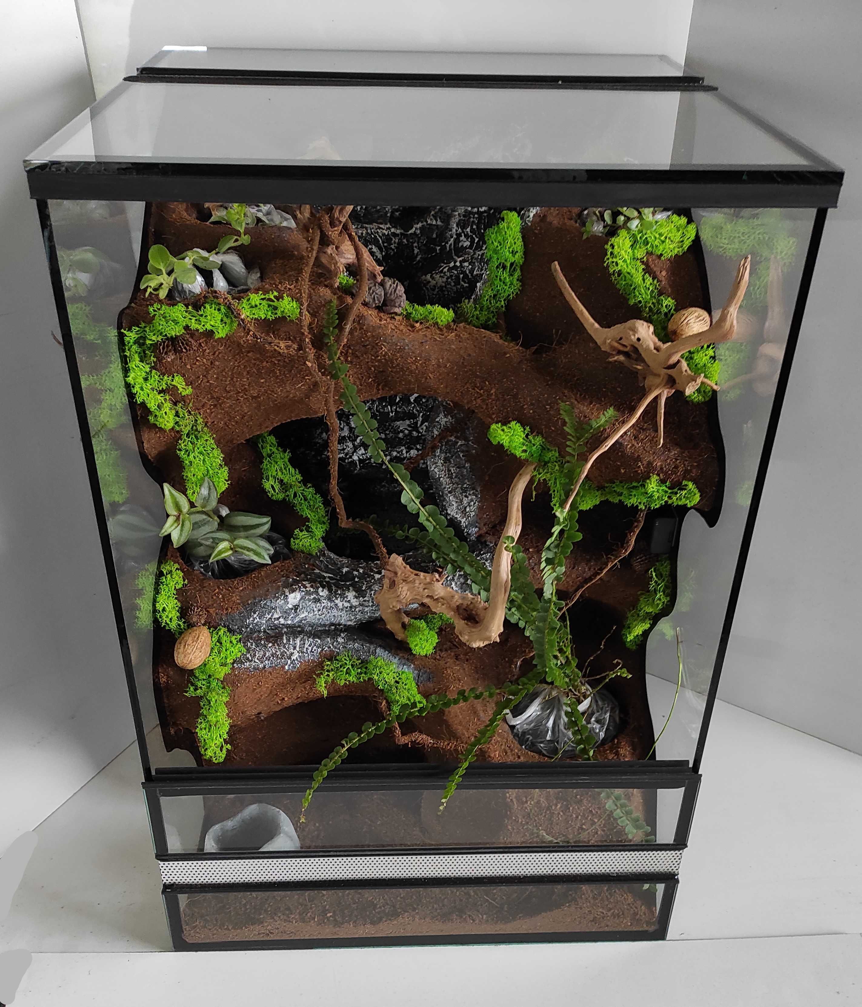 Terrarium tropikalne z wodospadem gekona orzęsionego, TW47FO AquaWaves