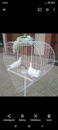 białe gołębie na ślub