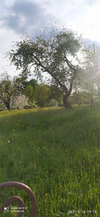 Продаж земельної ділянки