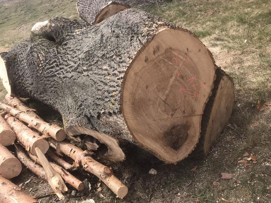 Слеби з ясена шириною метер +