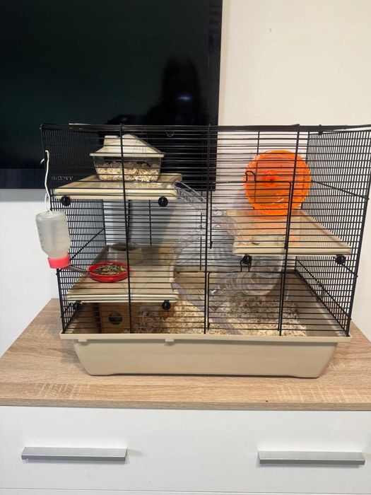 Klatka dla Chomika Myszy Klatka dla gryzoni Domek dla chomika OKAZJA!