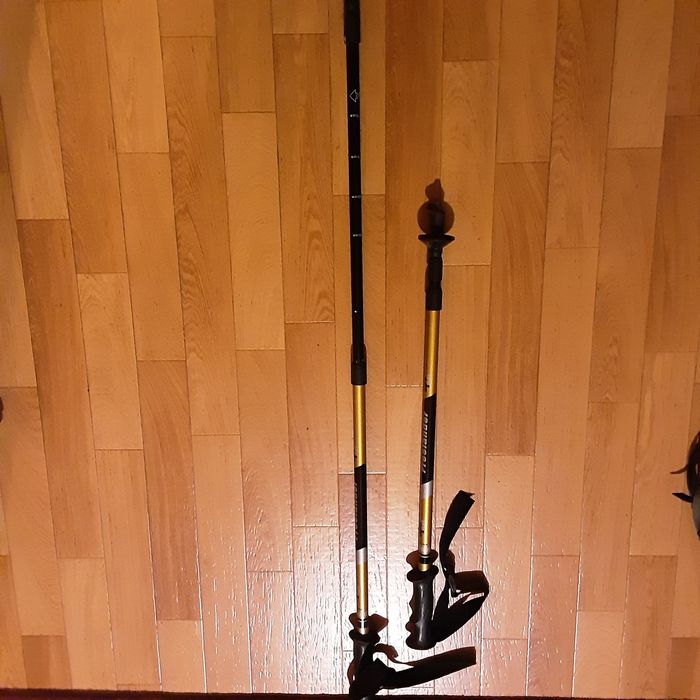 Палки спортивные для ходьбы