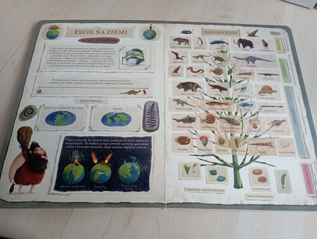 Książka dla dzieci o dinozaurach