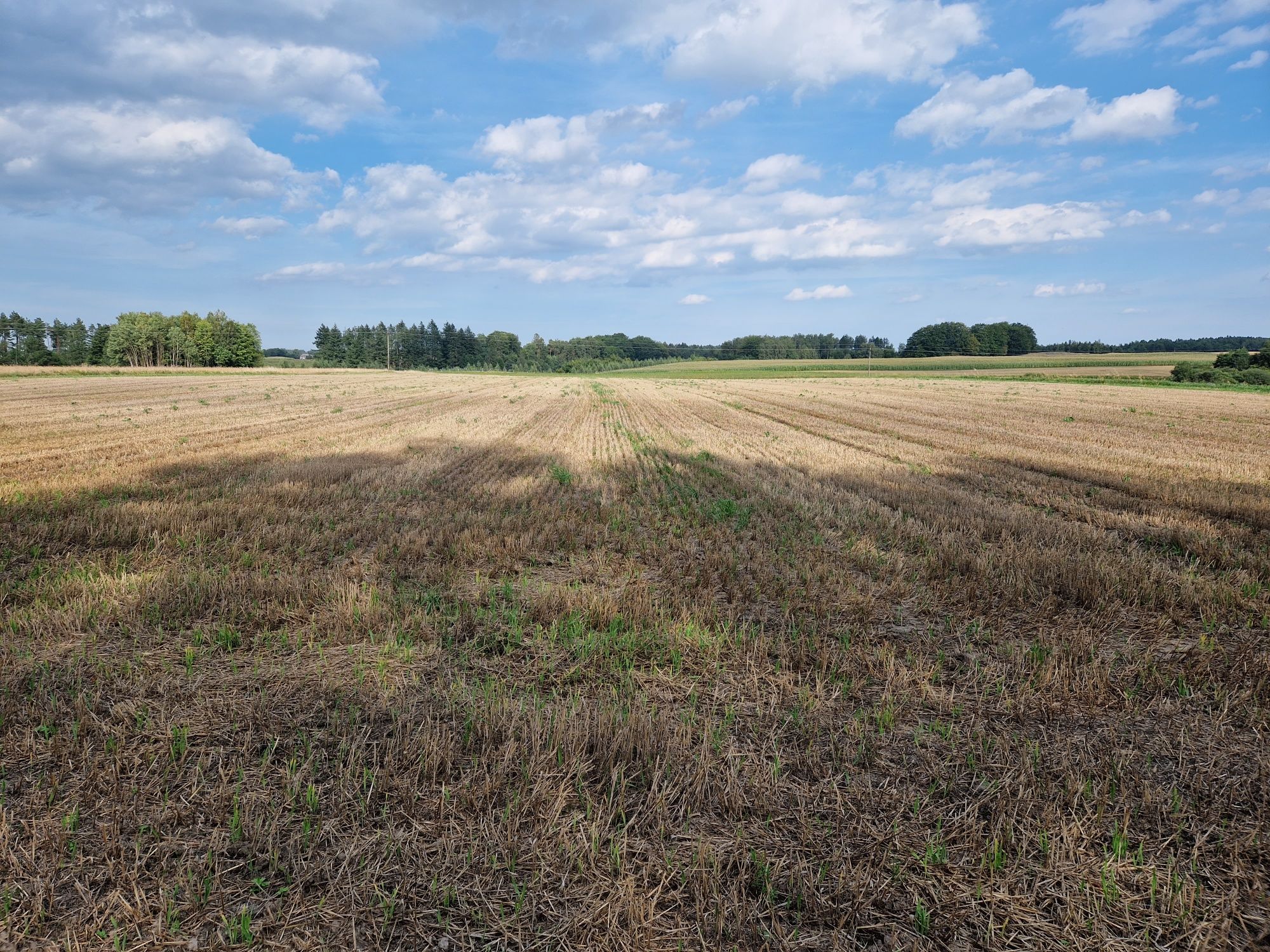 Działkę rolną sprzedam. Kaszuby.