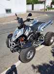 Shineray  350 c.c.