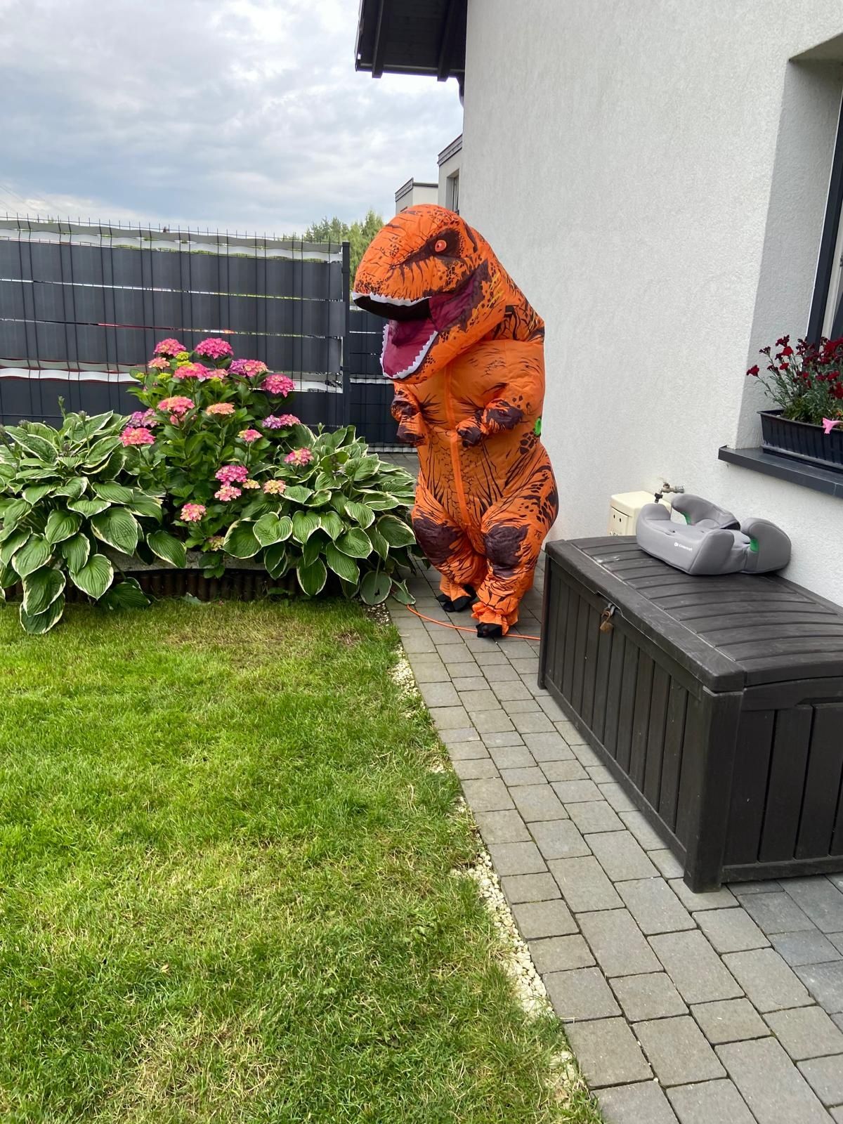 Stroj dinozaura do wynajęcia