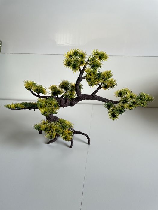 Декоративне дерево бонсай