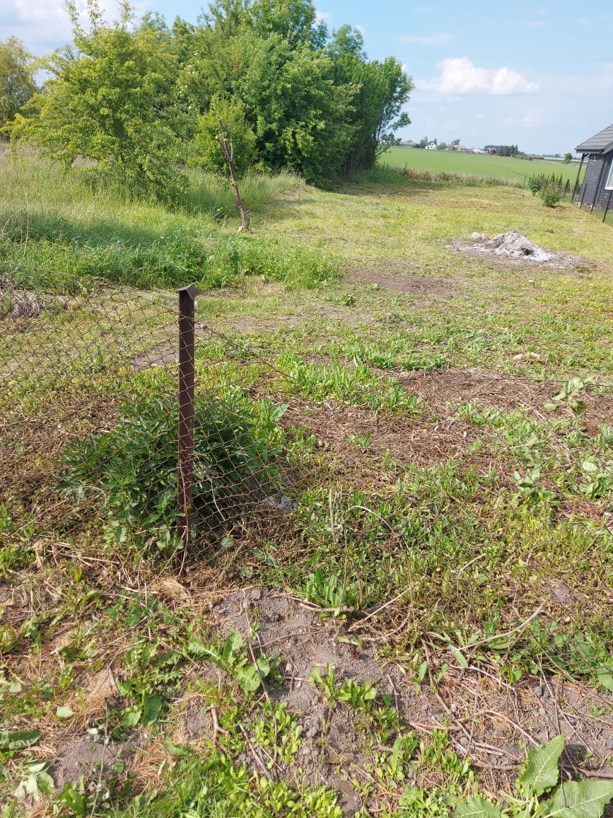 Działka ROD Kowróz gm. Łysomice  powiat toruński