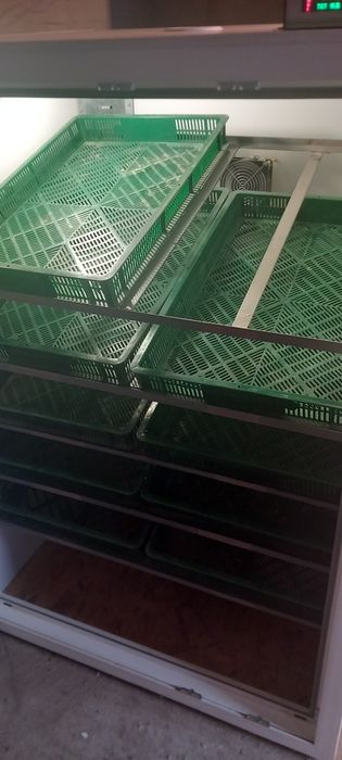 Інкубатор професійний