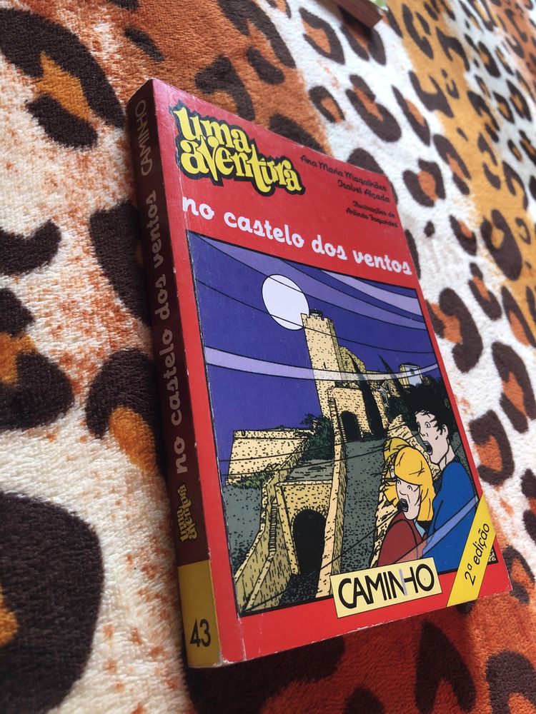 Livro de Uma Aventura no Castelo dos Ventos de Ana Maria Magalhaes