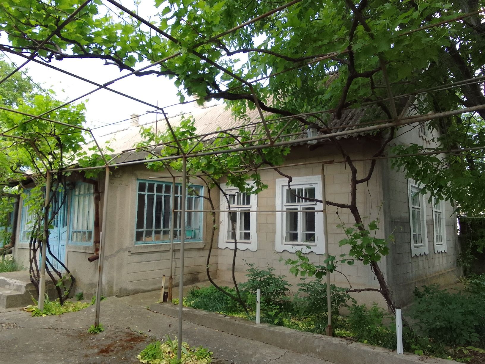 Продается дом в Одесской области.