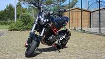 Benelli tnt 125 c/extras