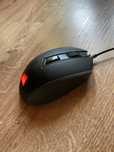 Myszka Corsair Katar