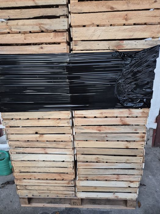 Skrzynki uniwersalki na owoce nowe