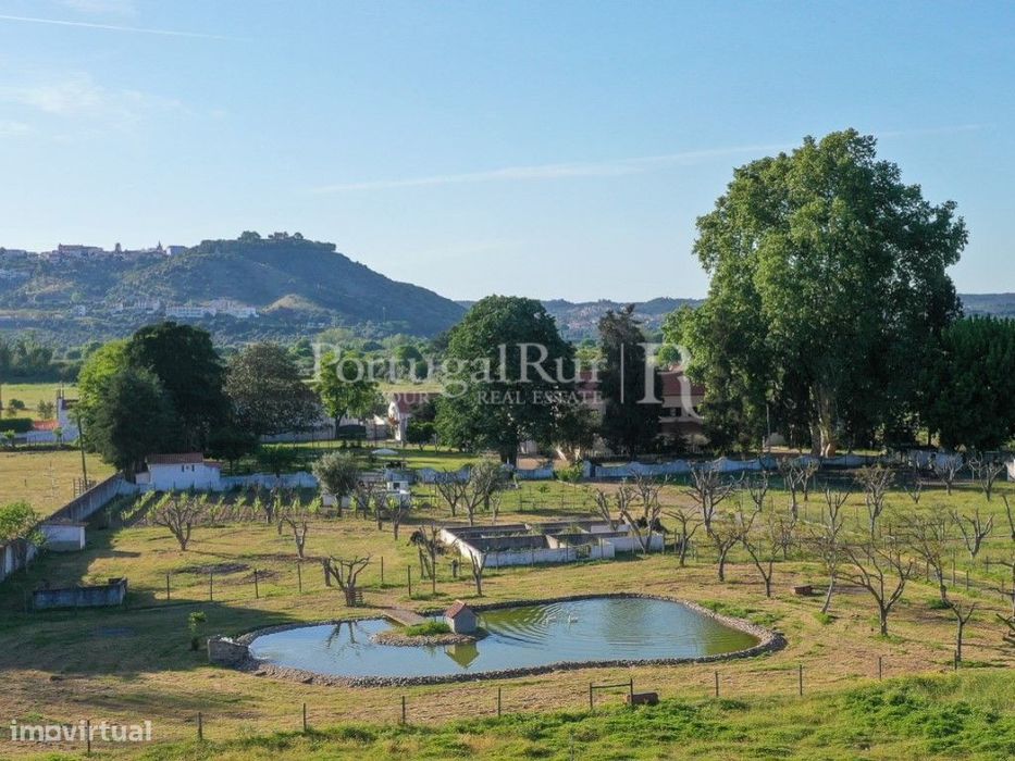 Encantadora quinta em Abrantes com 3,5 ha, perto do Rio Tejo, do ar...