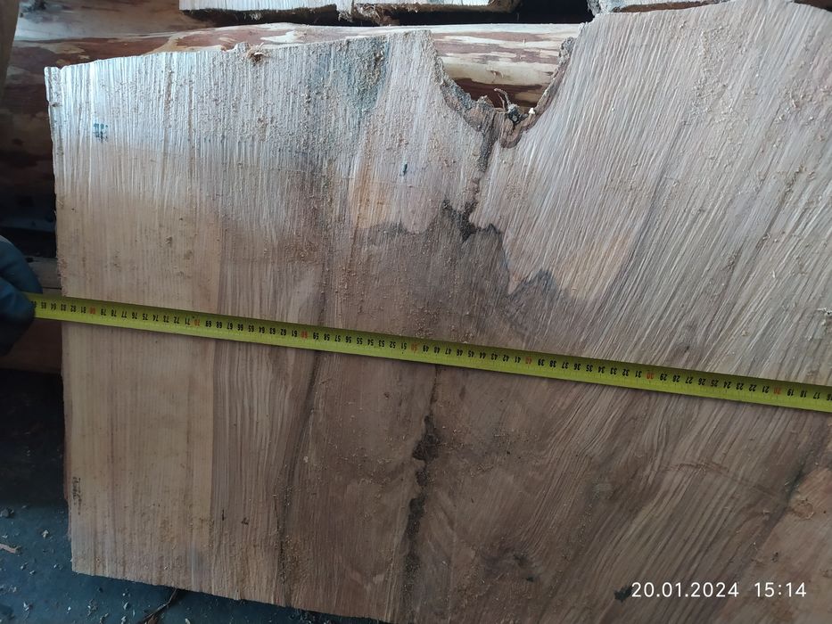 Krążki plastry talarki drewna jodła jesion