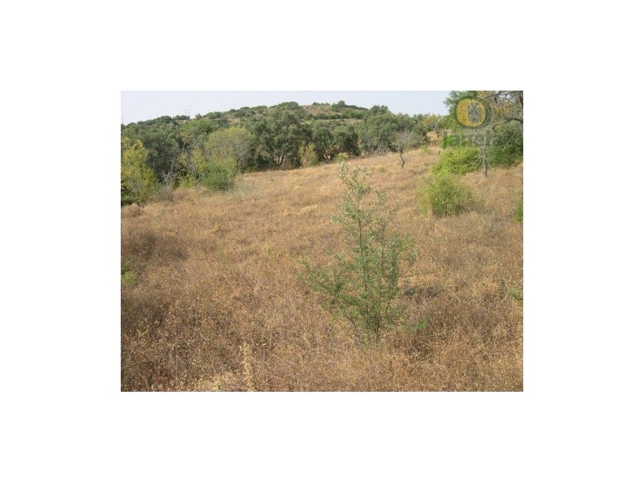 Terreno Rústico Venda Faro