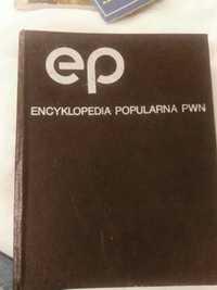 Jednotomowa encyklopedia PWN