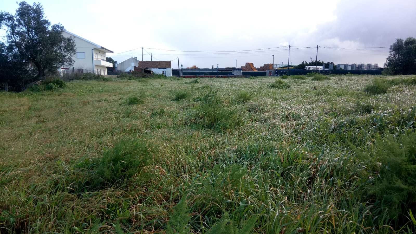 Terreno Urbano + Rústico_Santo Antão do Tojal (3.300m2) com rendimento