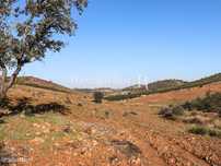 Propriedade de 8 hectares em Terena - Alandroal