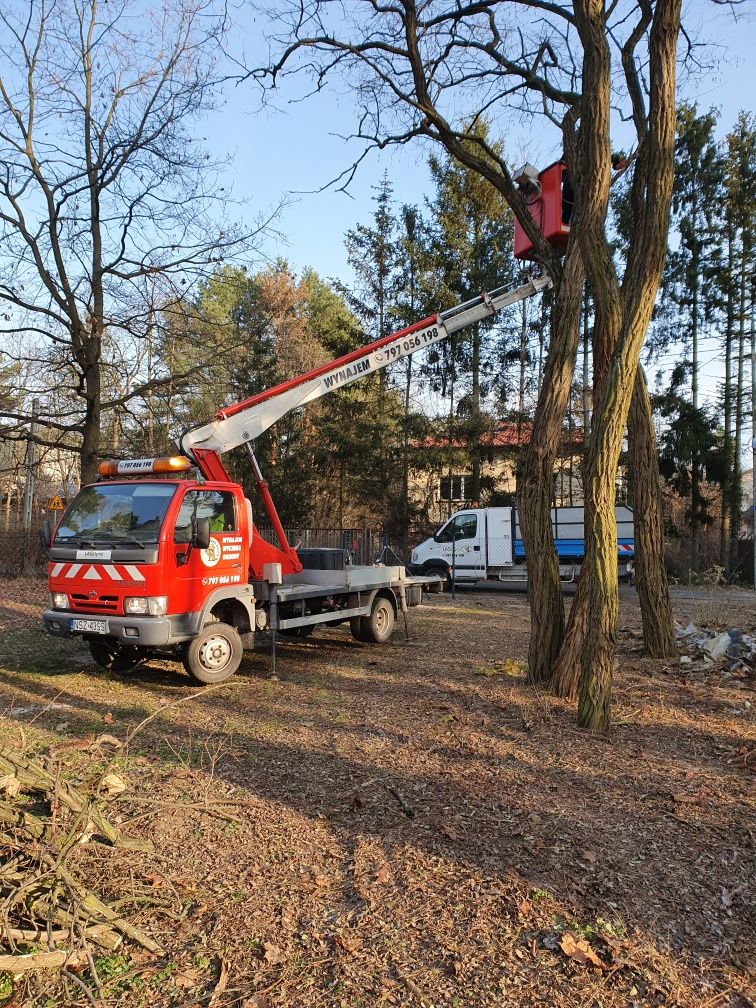 Wycinka rębak podnośnik wynajem czyszczenie działek mulczer karczowani