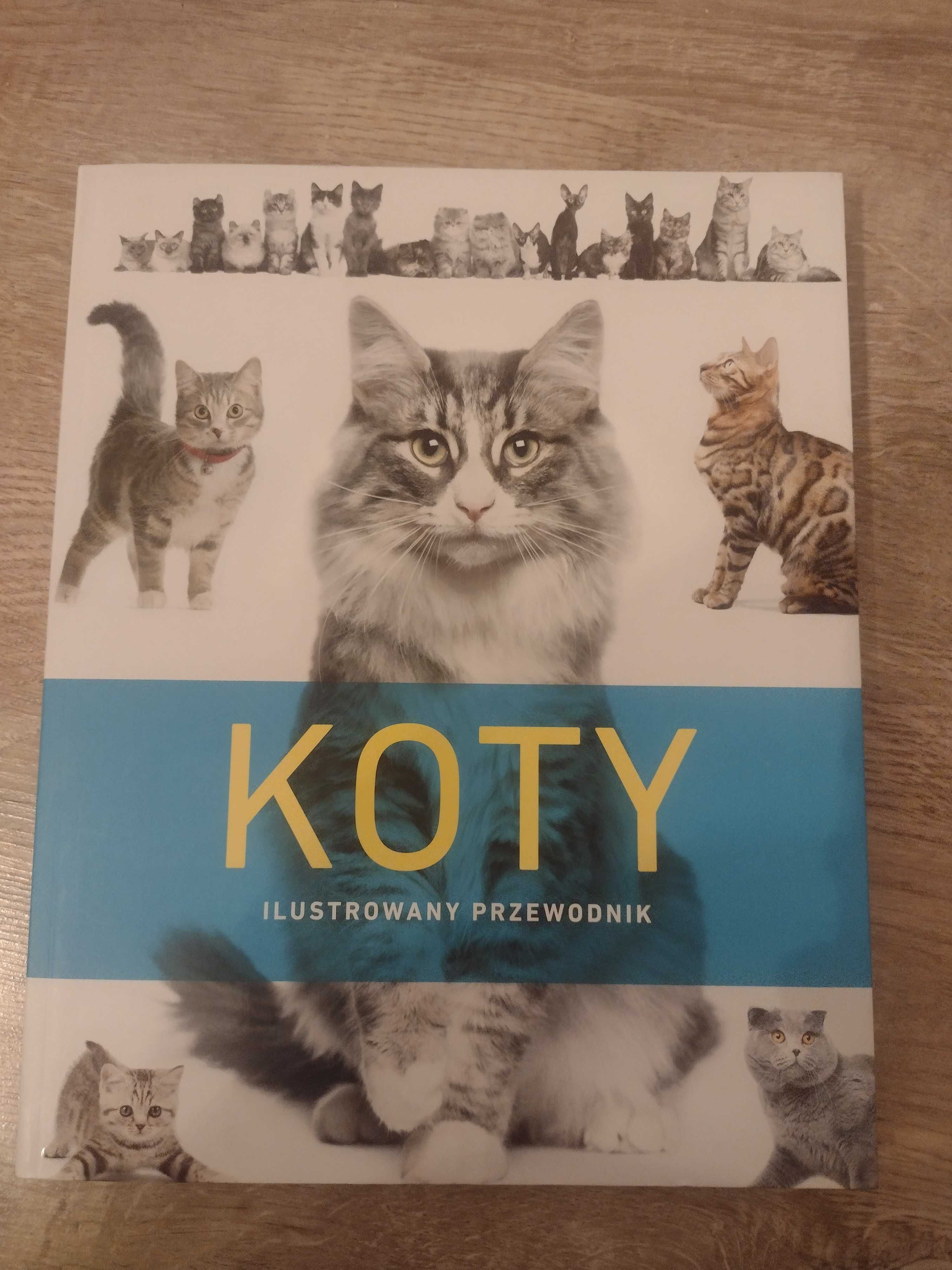 Koty Ilustrowany Przewodnik