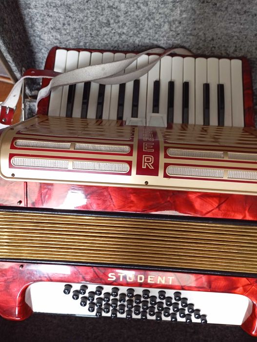 acordeao student 40 baixos