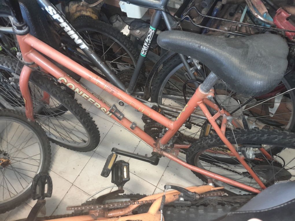 Bicicleta de adulto 30€