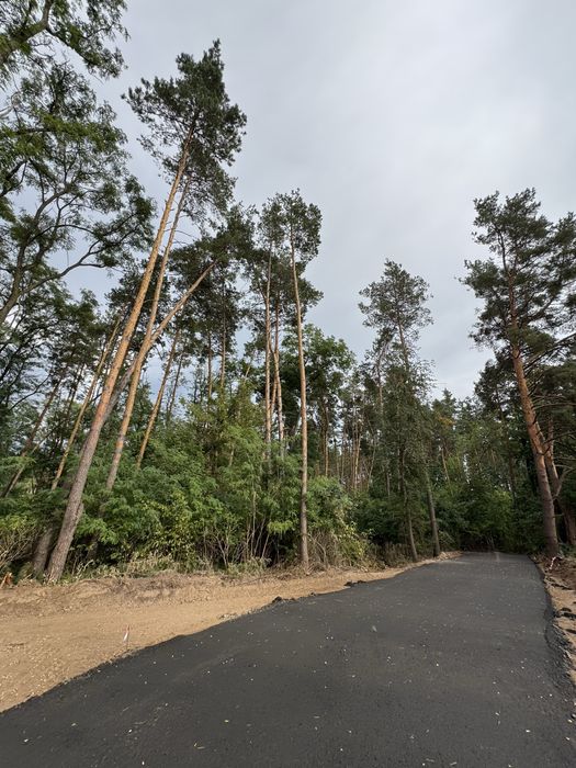 Продаж ділянок у сосновому лісі від 10-12-25 соток КМ Нова Ходосівка