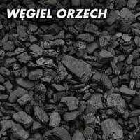 Orzech I, Orzech II, Ekogroszek, Kostka, Węgiel z polski