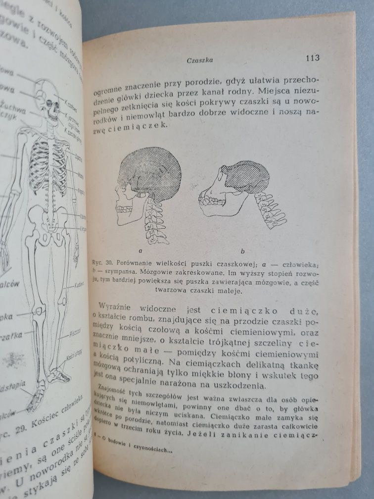 O budowie i czynnościach ciała ludzkiego - Dr B. Zaremba