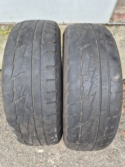 Шини зимові (пара) Premiorri 185/65/15