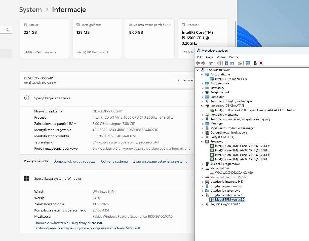 Komputer HP EliteDesk 800 G2 SmallFormFactor i5-6500/8GB DDR4/Win11Pro