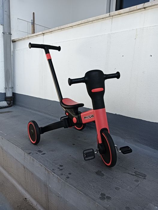 Triciclo evolutivo