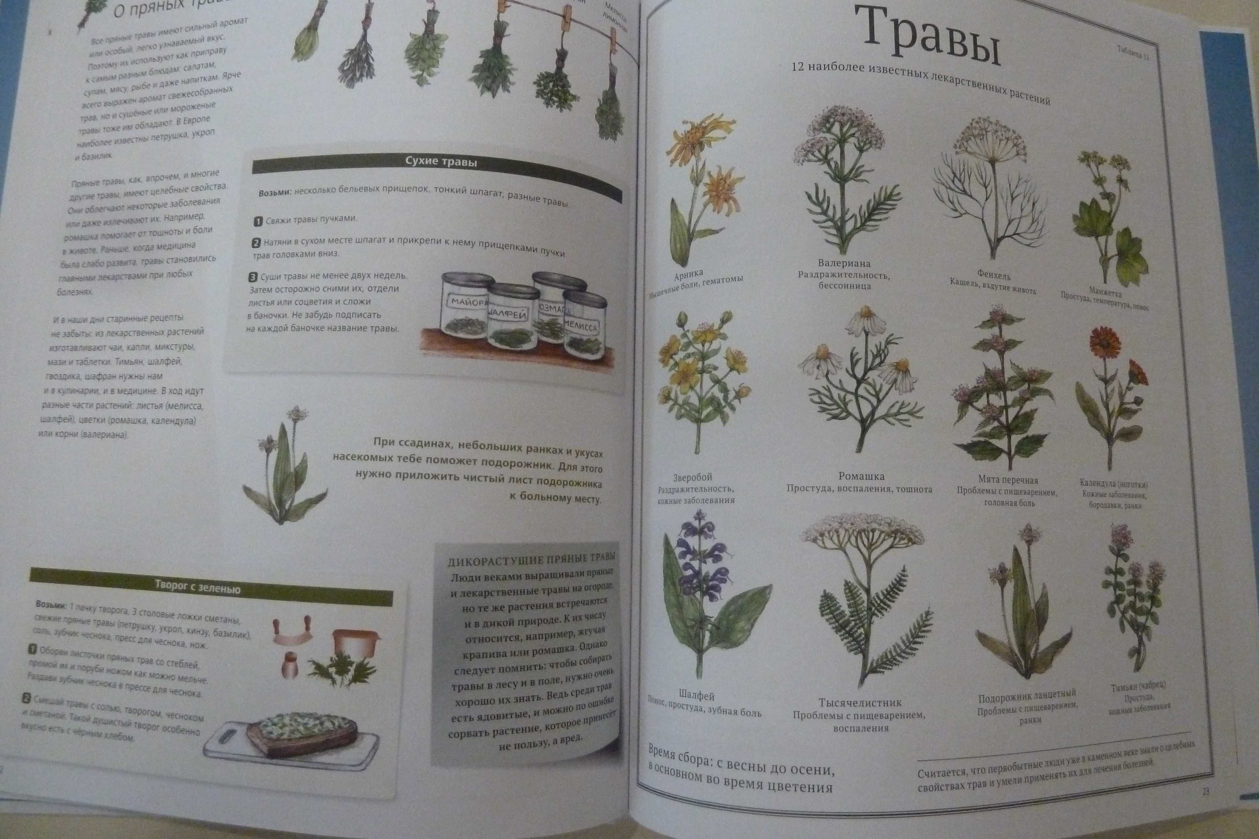 Скарби землі Сюзанна Ріха рус