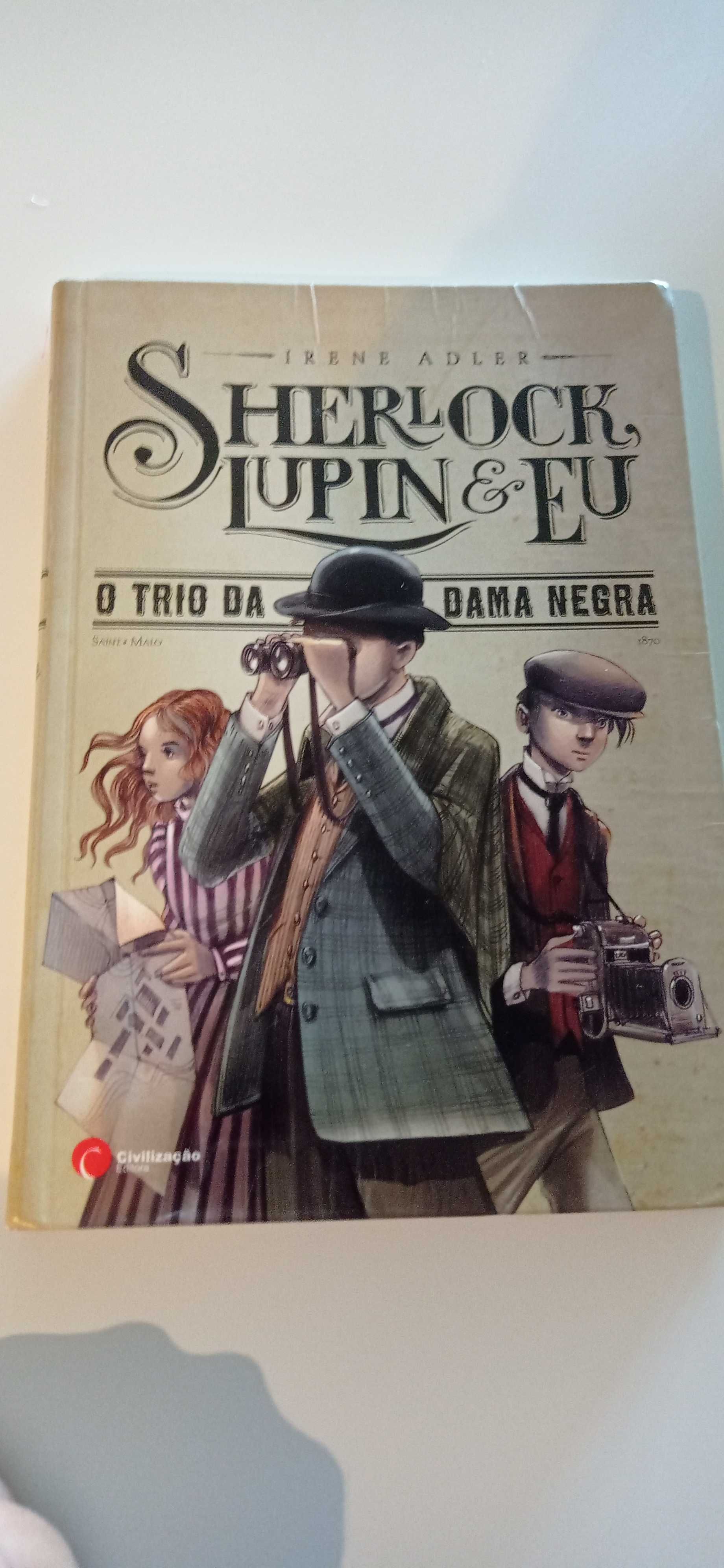 Livros Sherlock Holmes - PORTES INCLUÍDOS