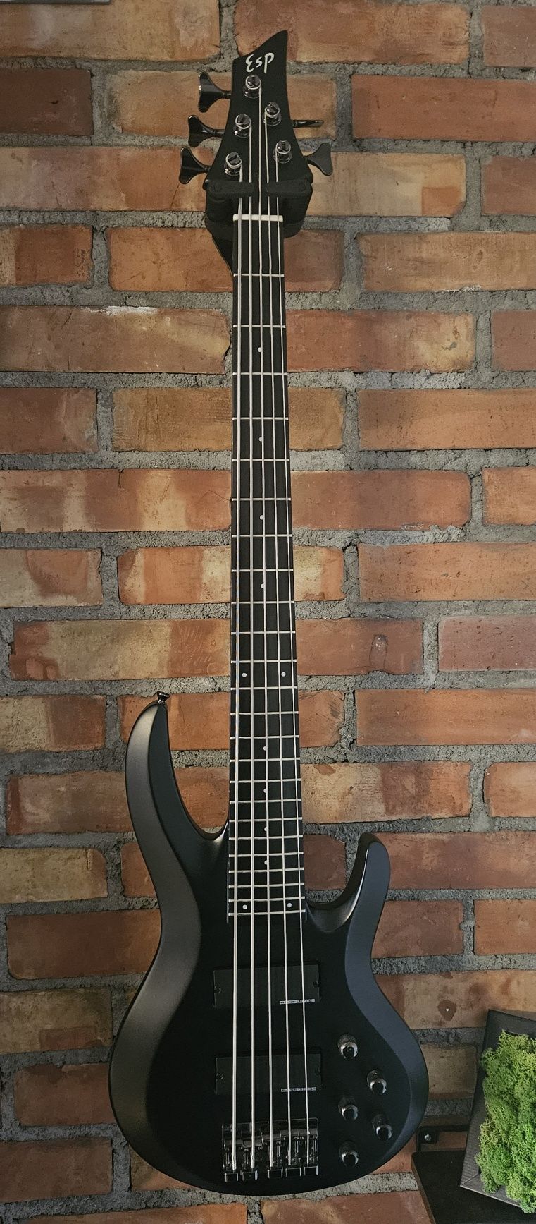 Gitara basowa ESP BTL 5 Standard Japan