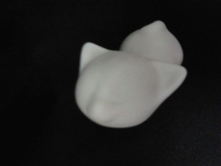 Artibus - Gato em excelente estado