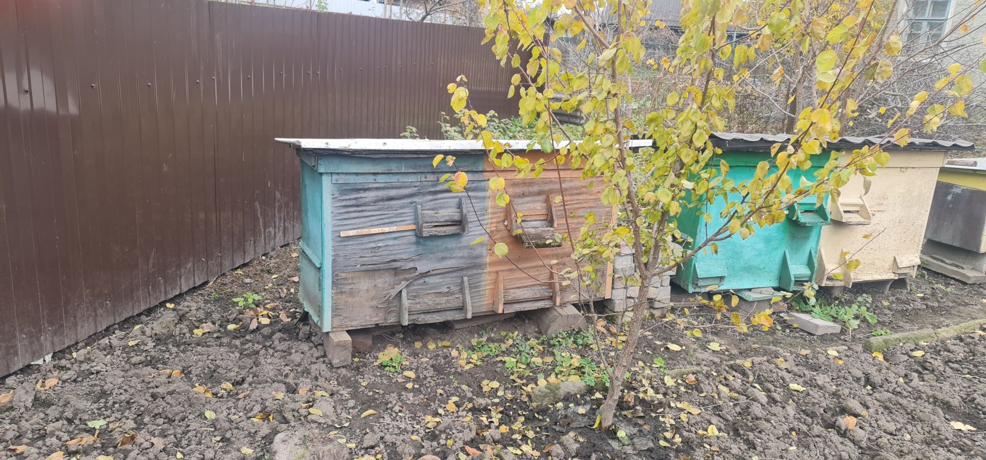 вулики для бджіл