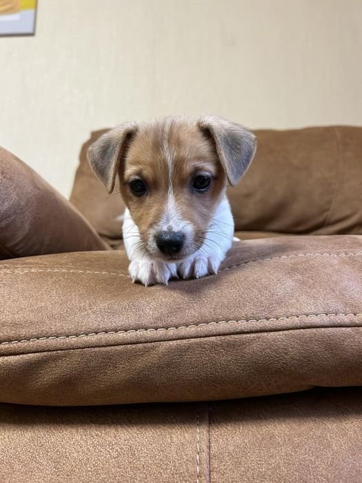 Чарівний хлопчина