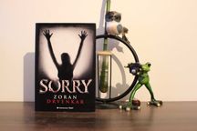 Zoran Drvenkar - Sorry
