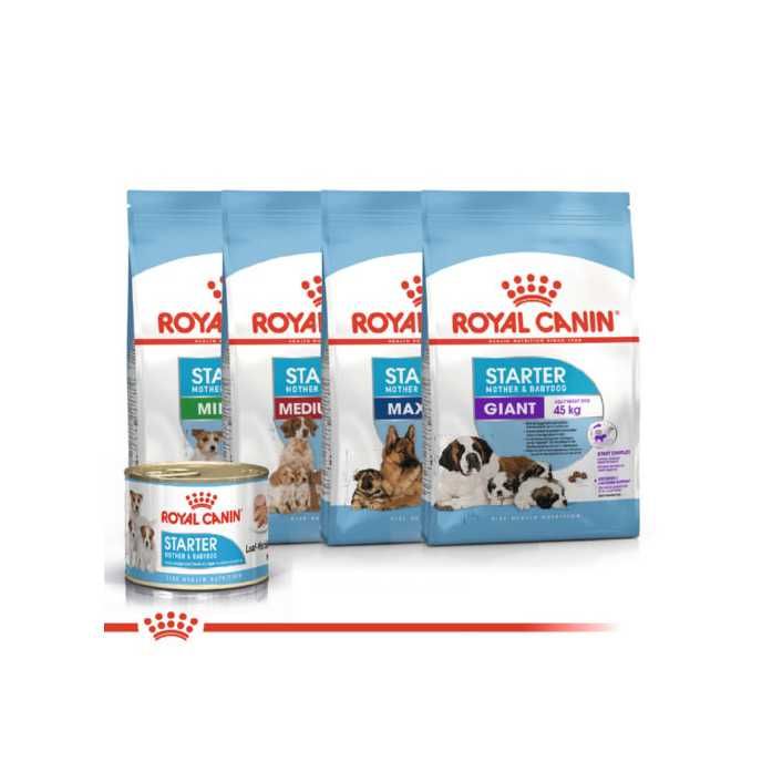 ENVIOS GRÁTIS - Royal Canin STARTER Mini, Medium, Maxi & Giant