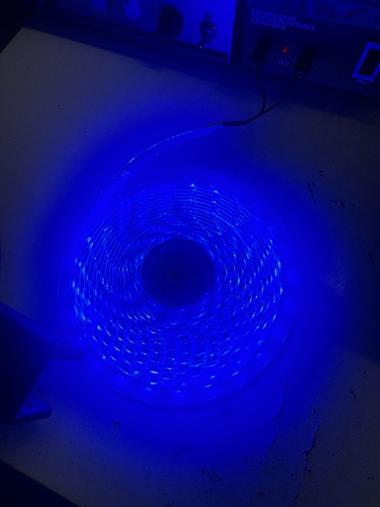 Fita LEDS azul IP65 - 12V dc
