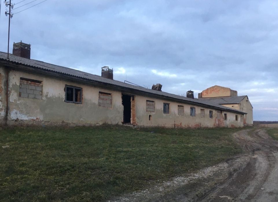 Продам або здам в оренду ферму