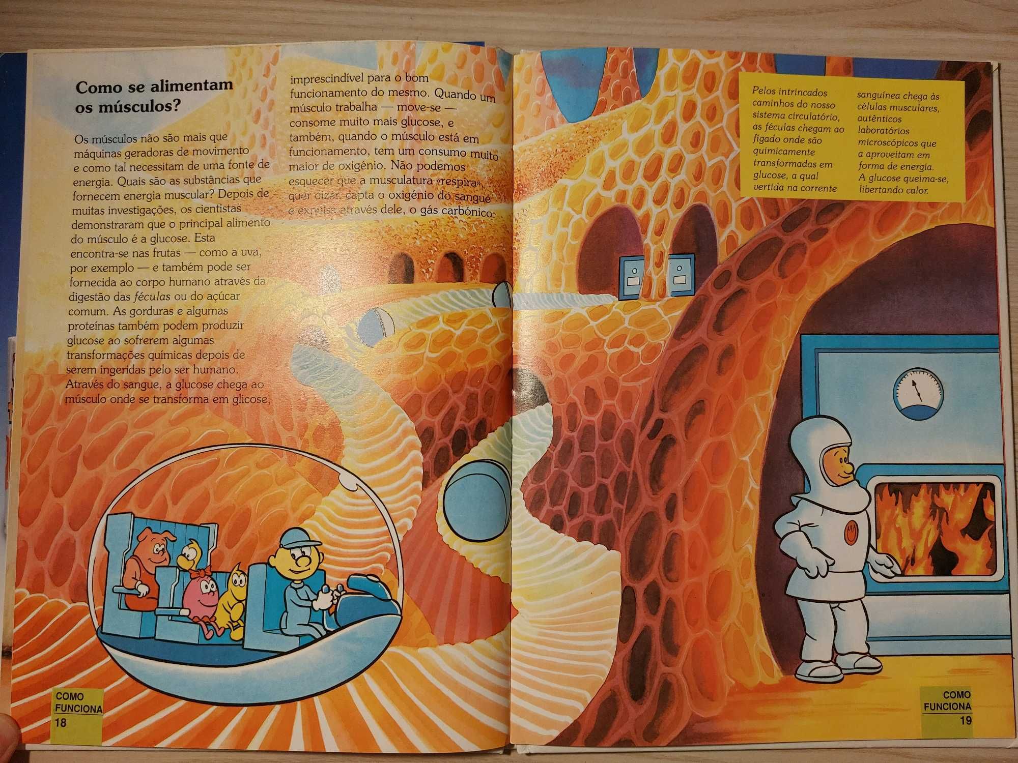 Era uma vez: O Corpo Humano - Volume 1: Os músculos