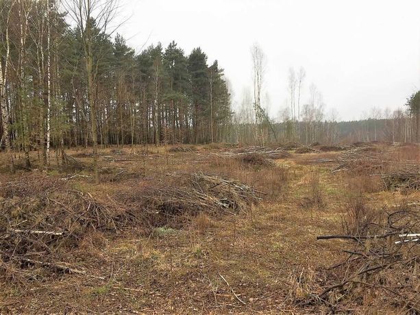 Działka budowlana (gm. Rogowo), najtańsze działki budowlane ! Okazja !