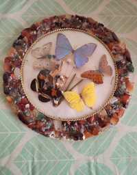 Prato decorativo com borboletas