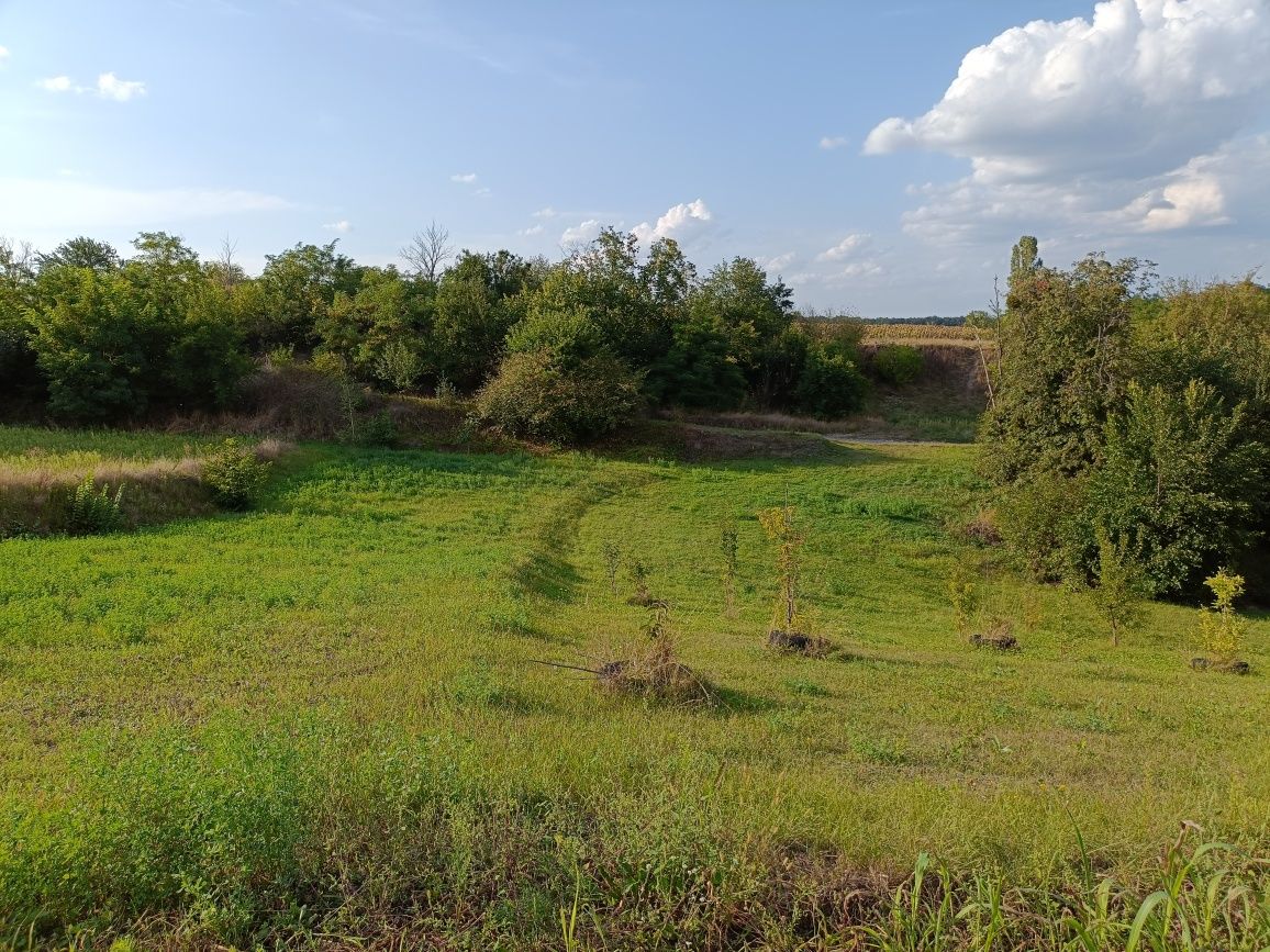 Ділянка під забудову Городище Пилипча