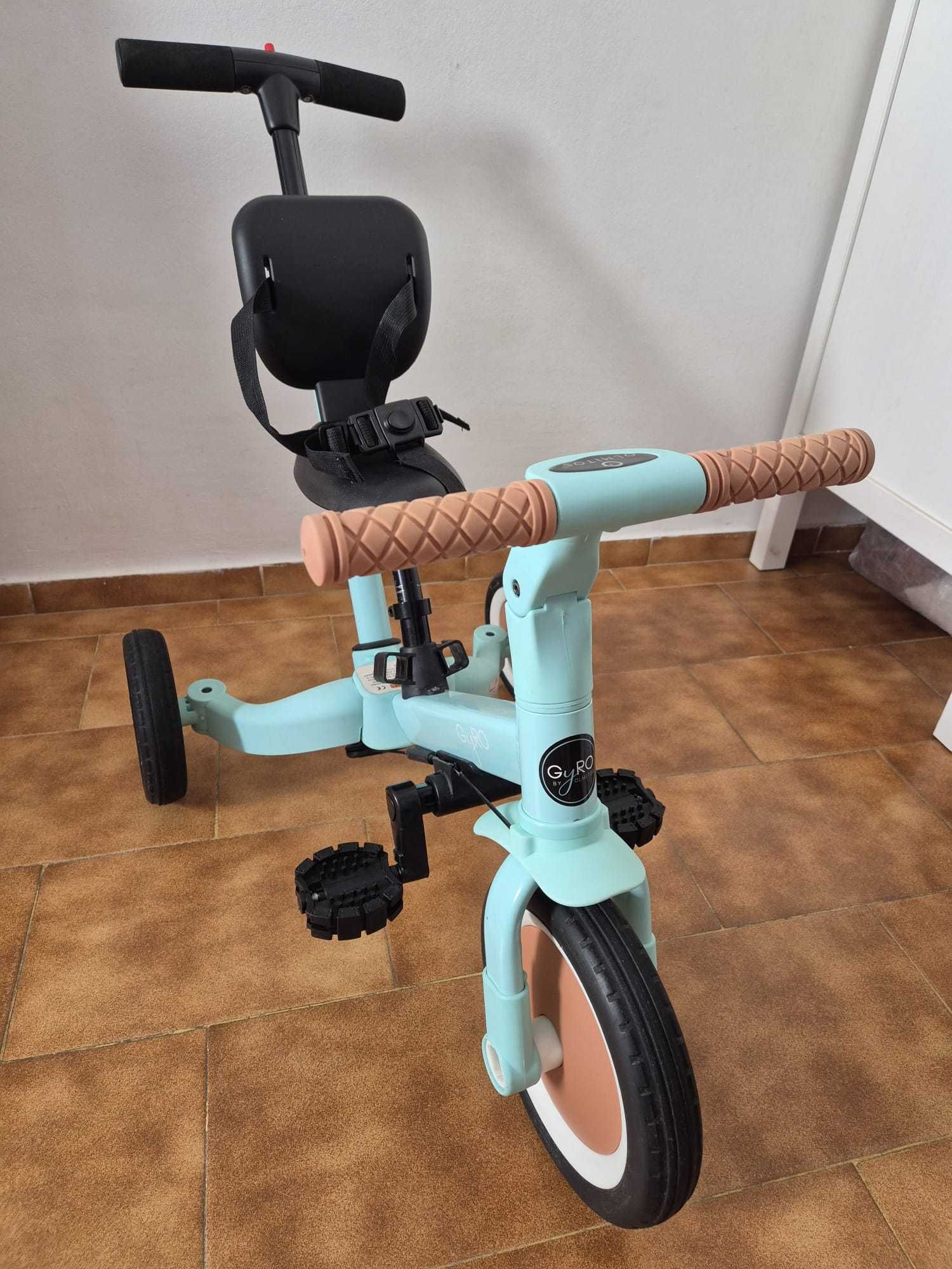 Bicicleta Evolutiva 5 em 1. Facilita a Aprendizagem!